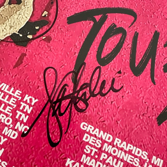 (Dixie) Chicks fans! Autographed Concert Poster - Picture 2 of 4